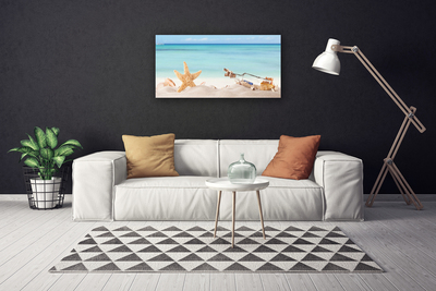 Quadro em tela Praia das Conchas das Estrelas do Mar