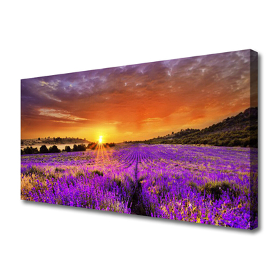 Quadro canvas Campo de lavanda ao pôr do sol