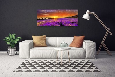 Quadro canvas Campo de lavanda ao pôr do sol