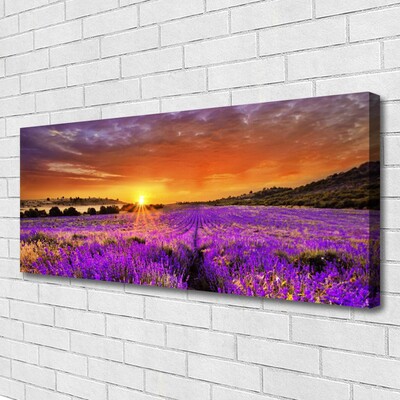 Quadro canvas Campo de lavanda ao pôr do sol