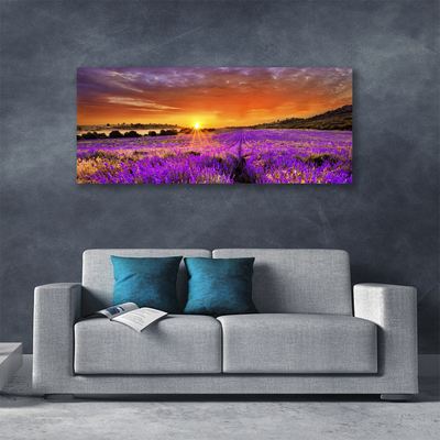 Quadro canvas Campo de lavanda ao pôr do sol