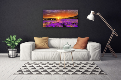 Quadro canvas Campo de lavanda ao pôr do sol