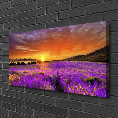 Quadro canvas Campo de lavanda ao pôr do sol