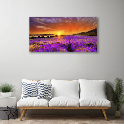 Quadro canvas Campo de lavanda ao pôr do sol