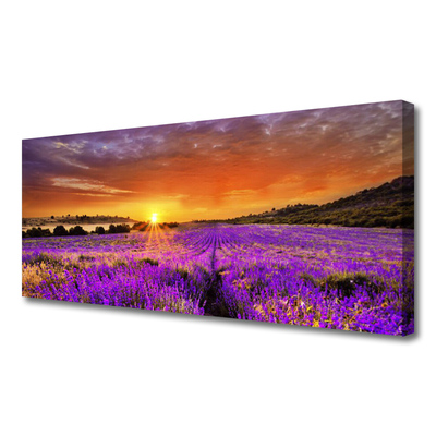 Quadro canvas Campo de lavanda ao pôr do sol