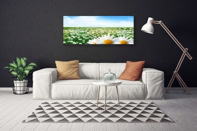 Quadro canvas Margaridas Flores Prado Campo