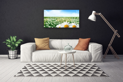 Quadro canvas Margaridas Flores Prado Campo