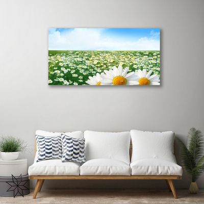 Quadro canvas Margaridas Flores Prado Campo