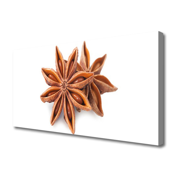 Quadro em tela Especiarias de anis estrelado