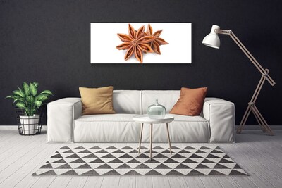 Quadro em tela Especiarias de anis estrelado