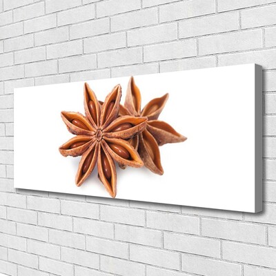 Quadro em tela Especiarias de anis estrelado