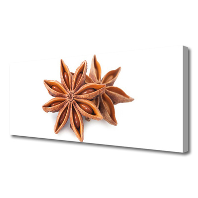 Quadro em tela Especiarias de anis estrelado