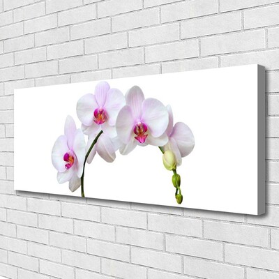 Quadro em tela Orquídea Flores de Orquídea