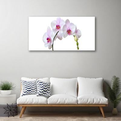 Quadro em tela Orquídea Flores de Orquídea