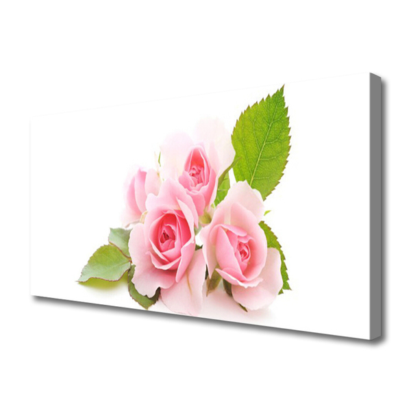 Quadro canvas Rosas Flores Planta Natureza