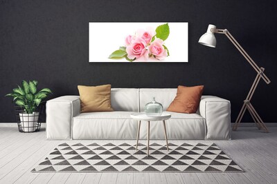 Quadro canvas Rosas Flores Planta Natureza
