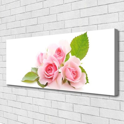 Quadro canvas Rosas Flores Planta Natureza