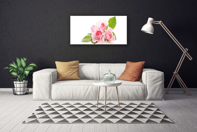 Quadro canvas Rosas Flores Planta Natureza