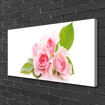 Quadro canvas Rosas Flores Planta Natureza