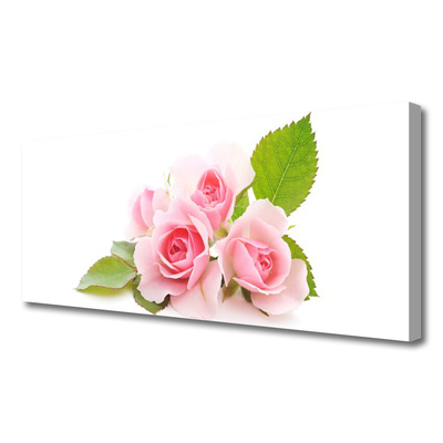 Quadro canvas Rosas Flores Planta Natureza