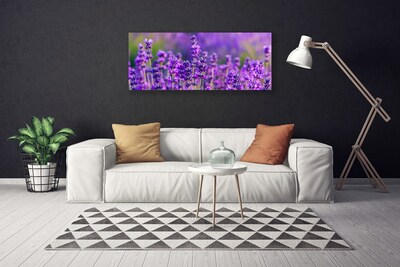Quadro em tela Campo de lavanda roxa