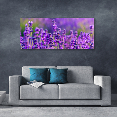 Quadro em tela Campo de lavanda roxa