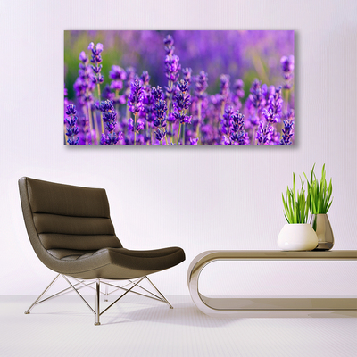 Quadro em tela Campo de lavanda roxa