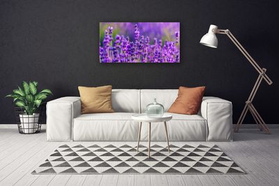 Quadro em tela Campo de lavanda roxa
