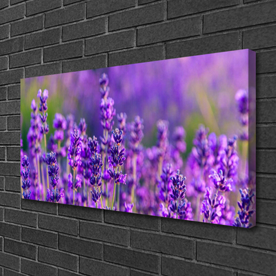 Quadro em tela Campo de lavanda roxa