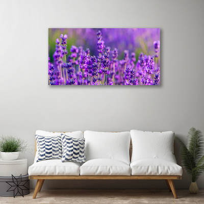 Quadro em tela Campo de lavanda roxa