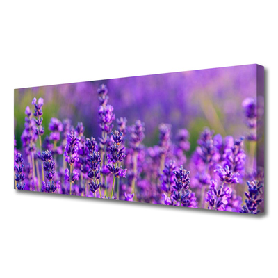 Quadro em tela Campo de lavanda roxa
