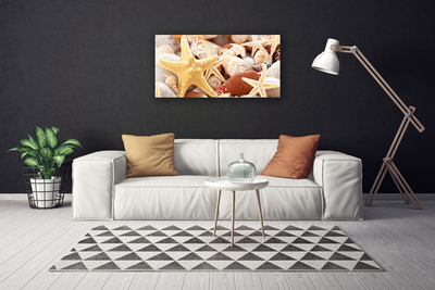 Quadro canvas Praia das Conchas das Estrelas do Mar