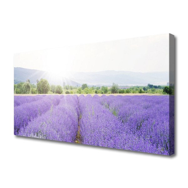 Quadro em tela Campo de Lavanda Natureza Prado