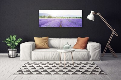 Quadro em tela Campo de Lavanda Natureza Prado