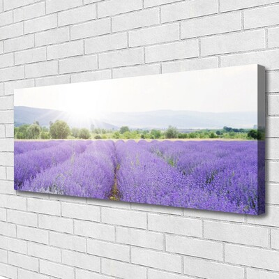 Quadro em tela Campo de Lavanda Natureza Prado