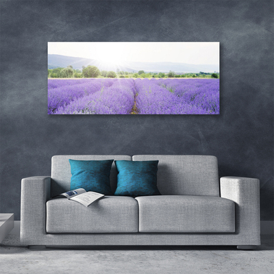 Quadro em tela Campo de Lavanda Natureza Prado