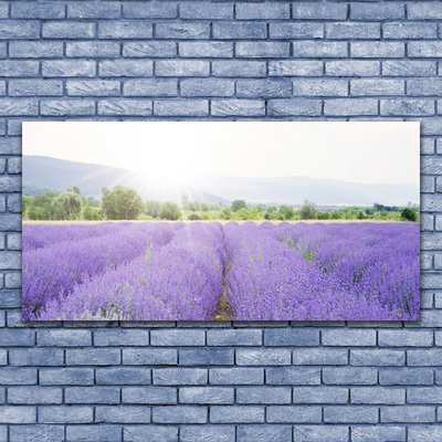 Quadro em tela Campo de Lavanda Natureza Prado