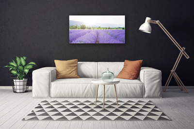 Quadro em tela Campo de Lavanda Natureza Prado