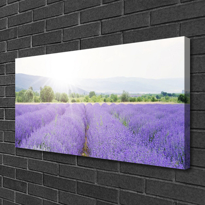 Quadro em tela Campo de Lavanda Natureza Prado