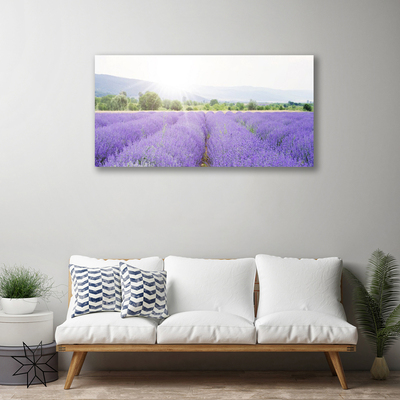Quadro em tela Campo de Lavanda Natureza Prado