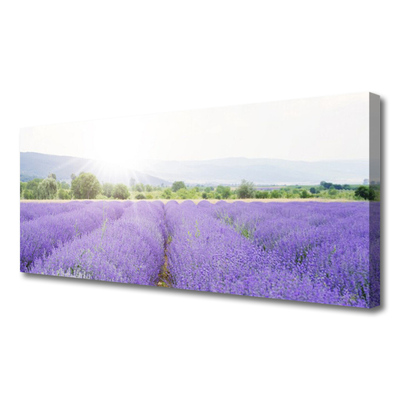 Quadro em tela Campo de Lavanda Natureza Prado