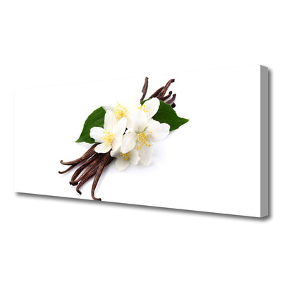 Quadro canvas Fava de baunilha para a cozinha