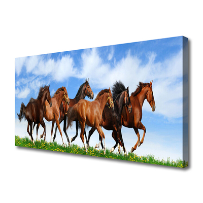 Quadro em tela Cavalos galopando no pasto