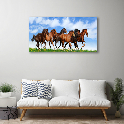 Quadro em tela Cavalos galopando no pasto
