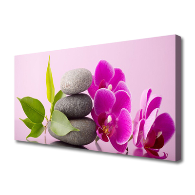Quadro canvas Orquídea Flores de Orquídea