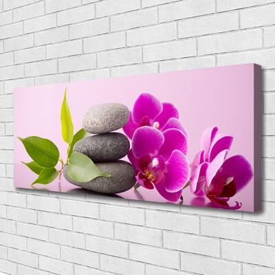 Quadro canvas Orquídea Flores de Orquídea
