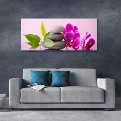 Quadro canvas Orquídea Flores de Orquídea