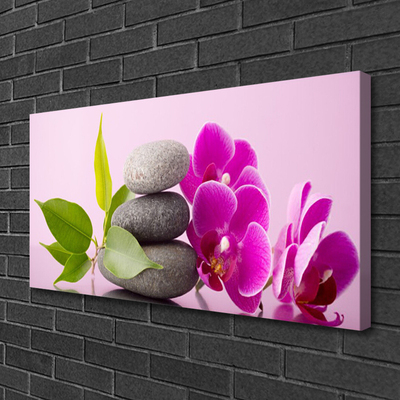 Quadro canvas Orquídea Flores de Orquídea