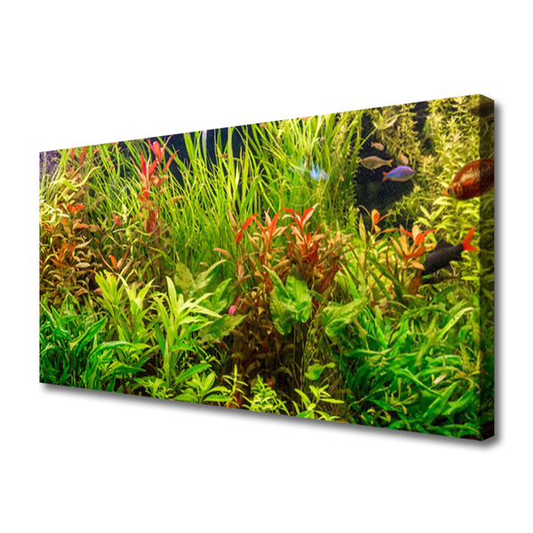 Quadro canvas Plantas para peixes de aquário