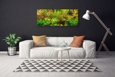 Quadro canvas Plantas para peixes de aquário